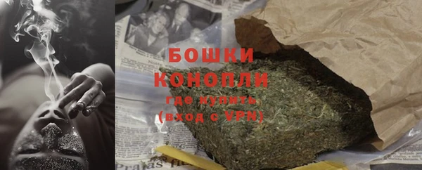 шишки Беломорск