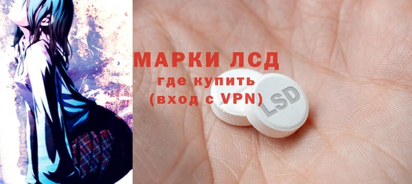 индика Белоозёрский