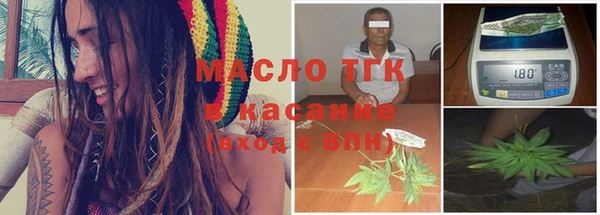 индика Белоозёрский