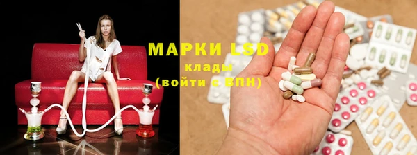 индика Белоозёрский
