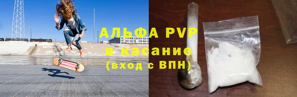 индика Белоозёрский
