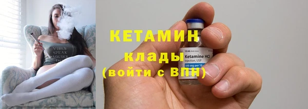 шишки Беломорск