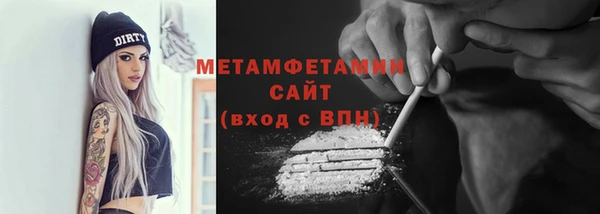 шишки Беломорск