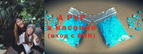 индика Белоозёрский