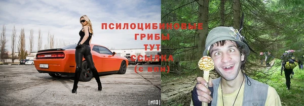 индика Белоозёрский