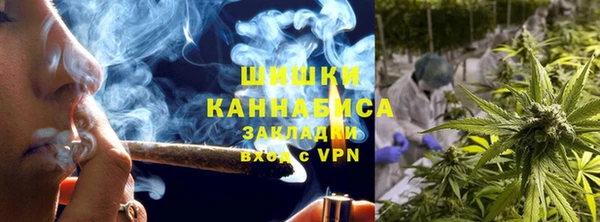 PSILOCYBIN Баксан