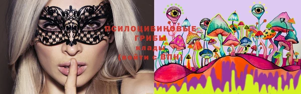 индика Белоозёрский